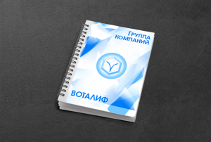 Подробнее о статье Гайдлайн